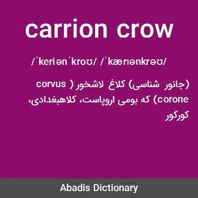 معنی carrion crow